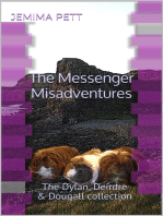 The Messenger Misadventures