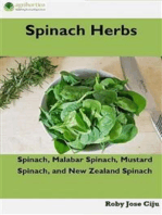 Spinach Herbs: Spinach, Malabar Spinach, Mustard Spinach and New Zealand Spinach