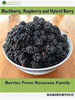 Blackberry, Raspberry and Hybrid Berry: Berries from Rosaceae Family
