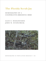 The Florida Scrub Jay (MPB-20), Volume 20: Demography of a Cooperative-Breeding Bird. (MPB-20)