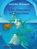 The Journey Of Narcisse