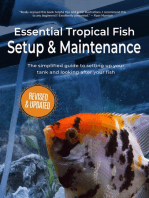 Essential Tropical Fish: Setup & Maintenance Guide