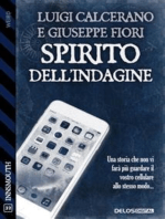 Spirito dell'indagine