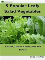 5 Popular Leafy Salad Vegetables: Lettuce, Celery, Chives, Kale and Parsley