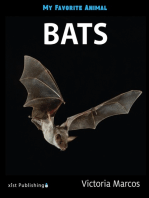 My Favorite Animal: Bats