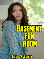 Basement Fun Room