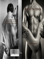 Rise of The Prince