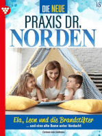 Ela, Leon und die Brandstifter: Die neue Praxis Dr. Norden 18 – Arztserie