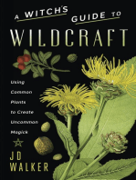 A Witch's Guide to Wildcraft