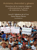 Activismo, diversidad y género: Derechos de las mujeres indígenas y afromexicanas en tiempos de violencias en México