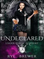 Undeclared: Under Realm Academy, #4
