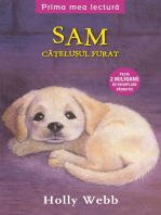 Sam, Cățelușul Furat