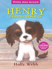 Henry, Catelusul De Pe Plaja