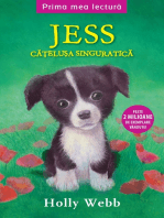 Jess, Catelusa Singuratica