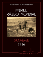 Primul Război Mondial - 03 - Somme 1916