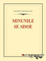 Minunile Sf Sisoe