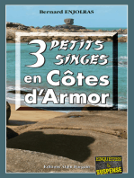 3 petits singes en Côte d'Armor: Les enquêtes de Bernie Andrew - Tome 2