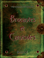 Brocantes et camisoles: Un conte philosophique