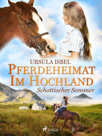 Pferdeheimat im Hochland - Schottischer Sommer