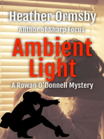 Ambient Light: A Rowan O'Donnell Mystery