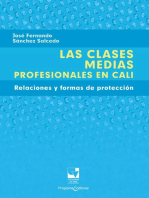 Las clases medias profesionales en Cali: Relaciones y formas de protección