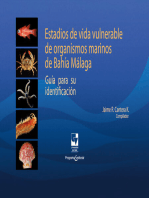 Estadios de vida vulnerable de organismos marinos de Bahía Málaga: Guía para su identificación