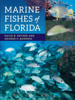 Marine Fishes of Florida