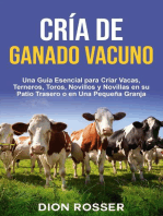 Cría de ganado vacuno