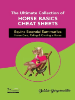 The Ultimate Collection of Horse Basics