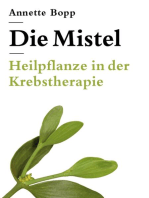 Die Mistel: Heilpflanze in der Krebstherapie