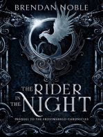 The Rider in the Night