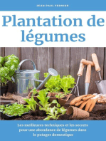 Plantation de légumes: Les meilleures techniques et les secrets pour une abondance de légumes dans le potager domestique