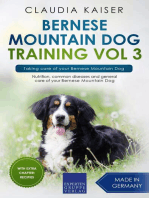 Bernese Mountain Dog Training Vol 3 – Taking care of your Bernese Mountain Dog