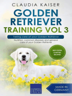 Golden Retriever Training Vol 3 – Taking care of your Golden Retriever: Nutrition, common diseases and general care of your Golden Retriever: Golden Retriever Training, #3