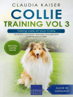 Collie Training Vol 3 – Taking care of your Collie: Nutrition, common diseases and general care of your Collie: Collie Training, #3