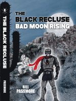 The Black Recluse