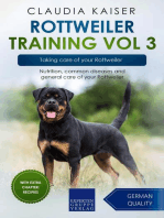 Rottweiler Training Vol 3 – Taking care of your Rottweiler