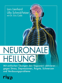 Neuronale Heilung von Lars Lienhard, Ulla Schmid-Fetzer und Dr ...
