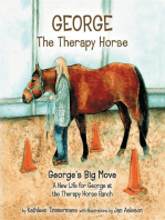 George the Therapy Horse