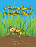 A Strange Guest in an Ant's Nest