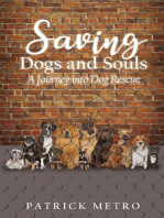 Saving Dogs and Souls: A Journey into Dog Rescue