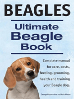Beagles. Ultimate Beagle Book. Beagle complete manual for care, costs, feeding, grooming, health and training.