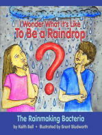 I Wonder What it's Like To Be a Raindrop
