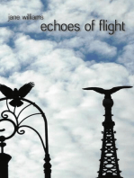 echoes of flight