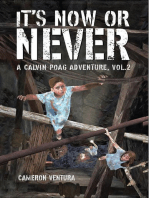 It's Now or Never: A Calvin Poag Adventure, vol. 2