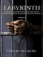 LABYRINTH : Volume 2: AN EX-CON'S ATTEMPT TO ESCAPE AND AVOID MARGINALIZATION AS HE EXISTS IN STATE PRISON