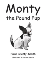 Monty the Pound Pup