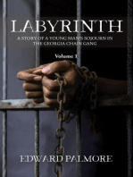 LABYRINTH : Volume 1: A STORY OF A YOUNG MAN'S SOJOURN IN THE GEORGIA CHAIN GANG