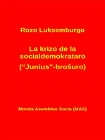 La krizo de la socialdemokrataro ("Junius"-broŝuro)