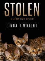 Stolen: A Kieran Yeats Mystery